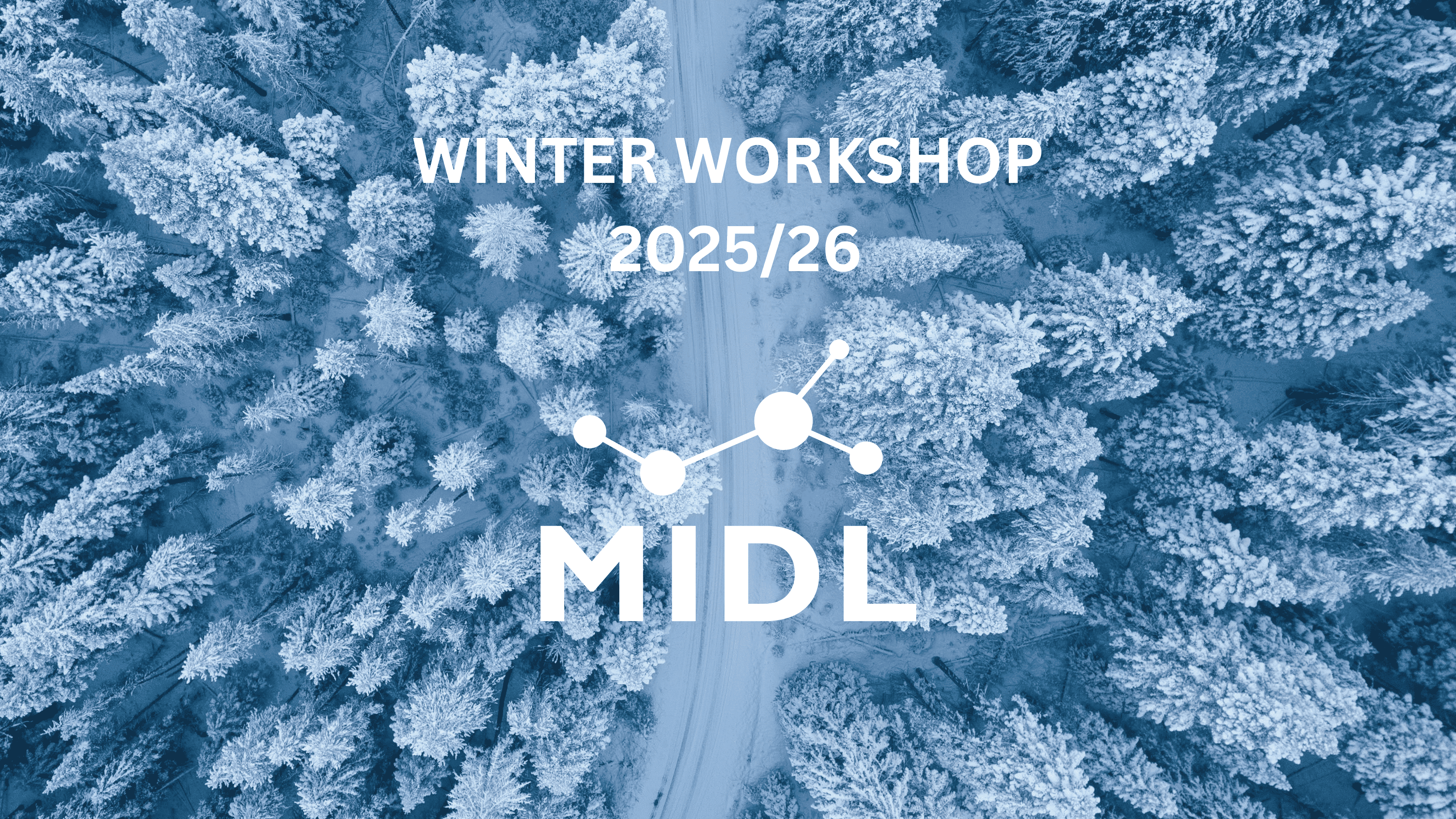 MIDL Winter Workshop
